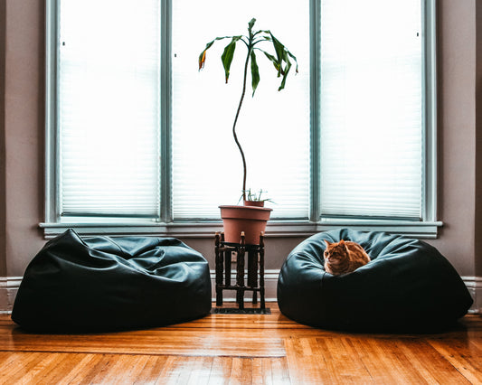 Reclaim Your Space: 5 Clever Finds to Declutter Your Home and Headspace
